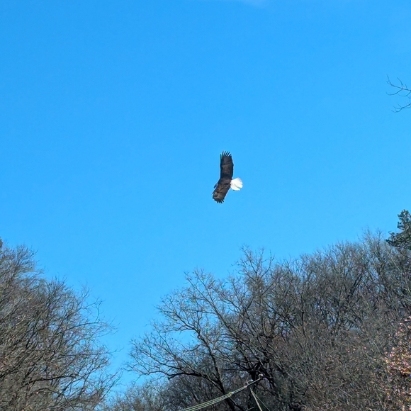 About Me 💕 - Picture 2 of 4